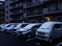 DSC03431