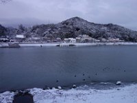 DSC03450