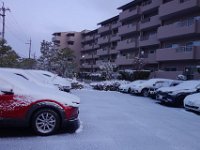 DSC03454