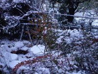 DSC03459