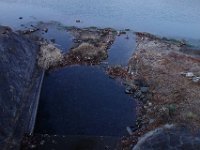DSC03584
