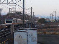 RIMG1258