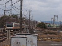 RIMG1266