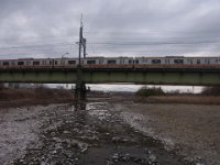 RIMG1267