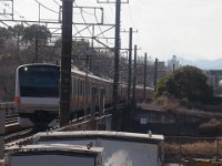 RIMG1293