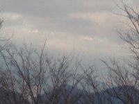 RIMG1372
