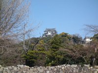 DSC03668