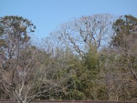 DSC03685