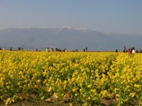 RIMG1423