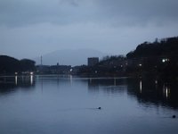 DSC03715