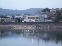 DSC03727