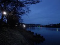 DSC03775