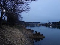 DSC03799