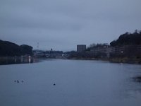 DSC03806