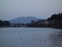 DSC03834
