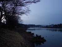 DSC03841
