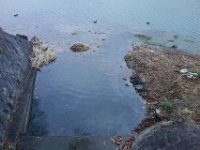 DSC03921