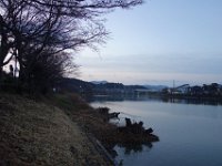 DSC03950
