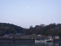 DSC03953