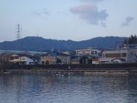 DSC03959