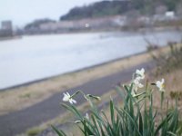 DSC03977