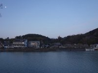 DSC03981