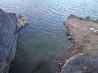 DSC04003