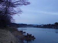DSC04050