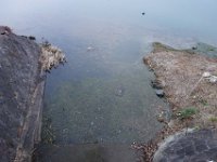 DSC04059