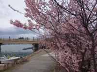 DSC04060