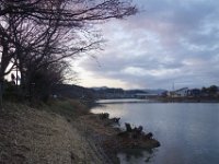 DSC04155