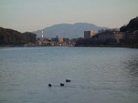 DSC04176