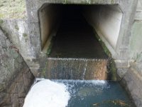 DSC04240