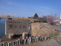 RIMG1723