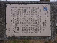 RIMG1786