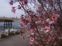 RIMG1811