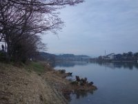 DSC04325