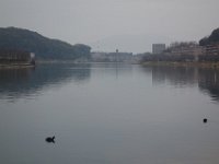 DSC04329