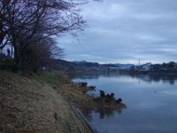 DSC04501