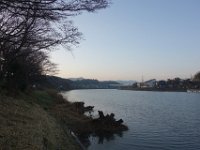 DSC04513