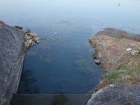 DSC04551