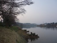 DSC04554