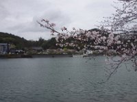 DSC04590