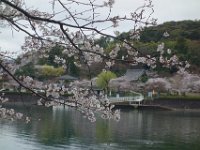 DSC04593