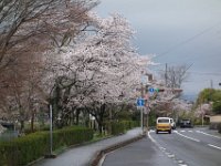 DSC04596