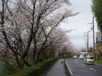 DSC04598