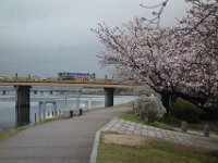 DSC04600