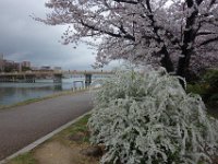 DSC04601
