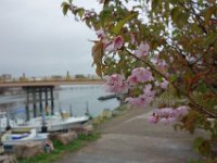 DSC04606
