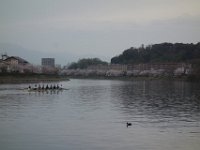 DSC04660